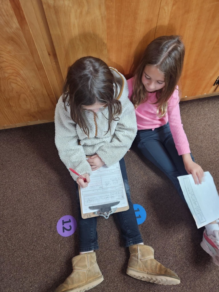 students working together using clipboards