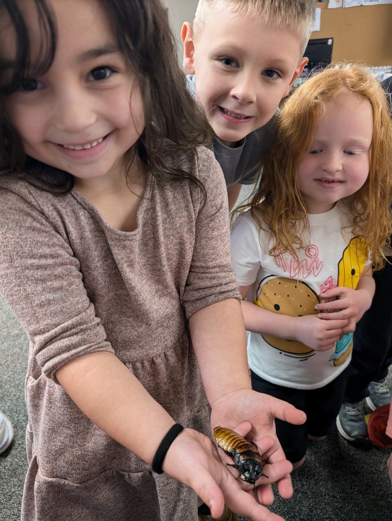 student holding a Madagascar Hissing Cockroach