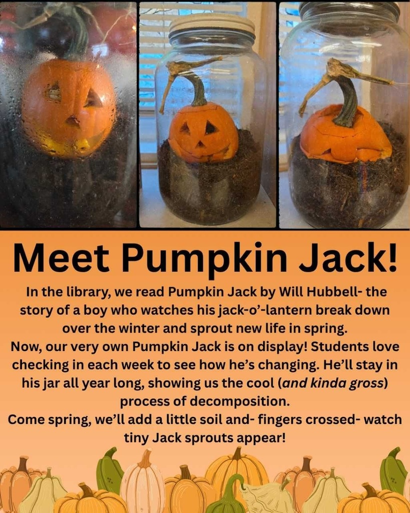 Meet Pumpkin Jack!