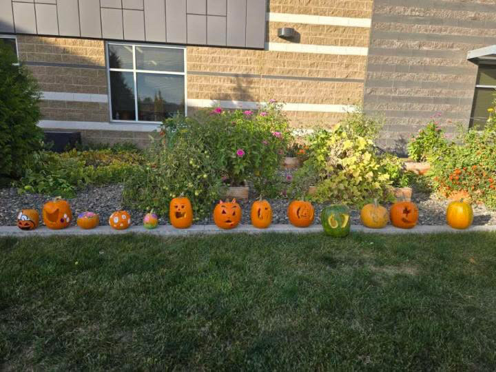 painted & carved pumpkins