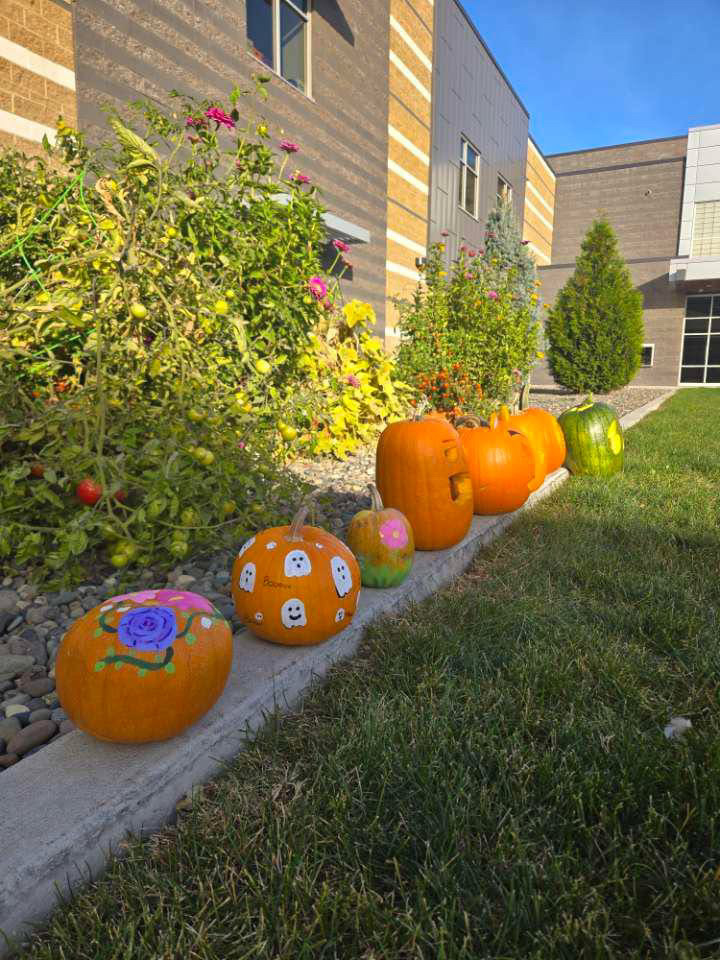 painted & carved pumpkins