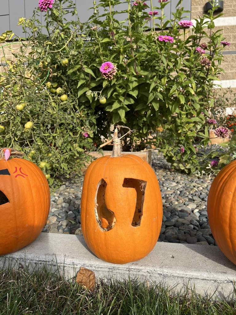 painted & carved pumpkins