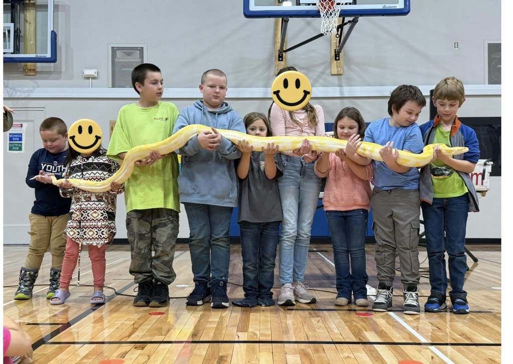 reptiles being shown to students