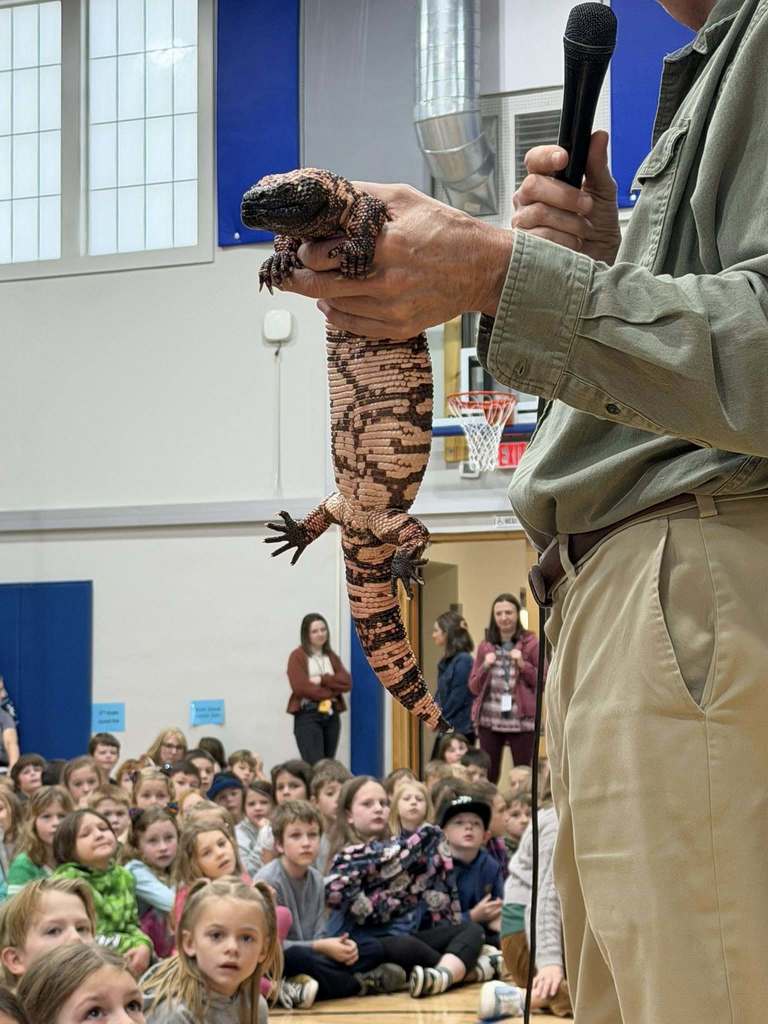 reptiles being shown to students