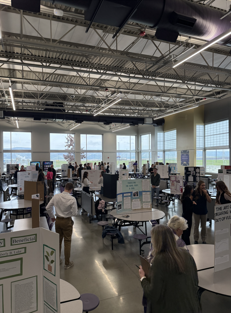 senior project presentations