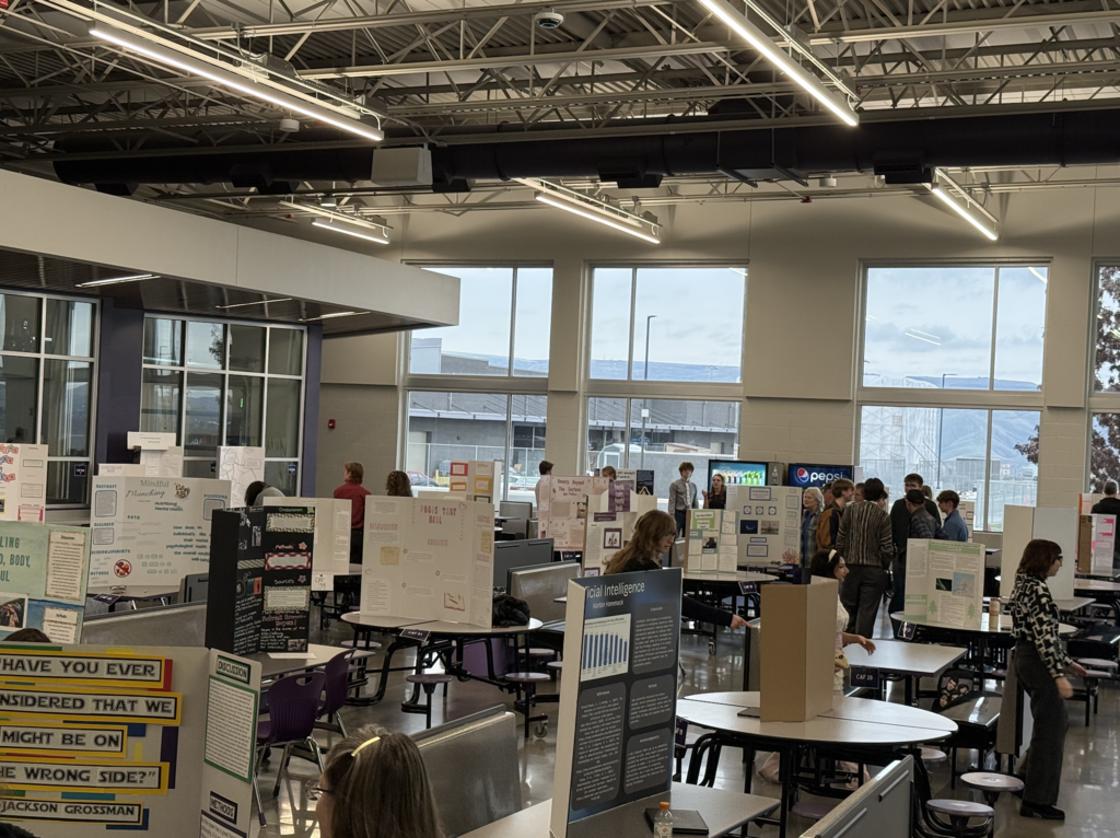 senior project presentations