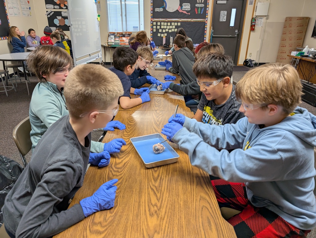 students working on science