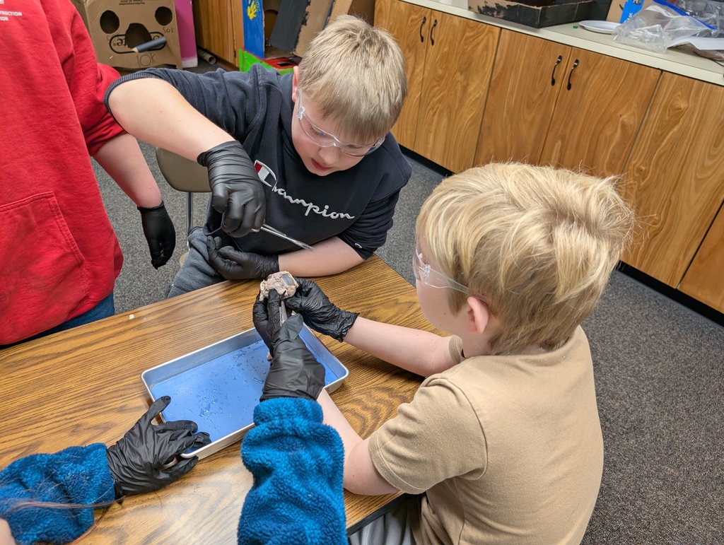 students working on science