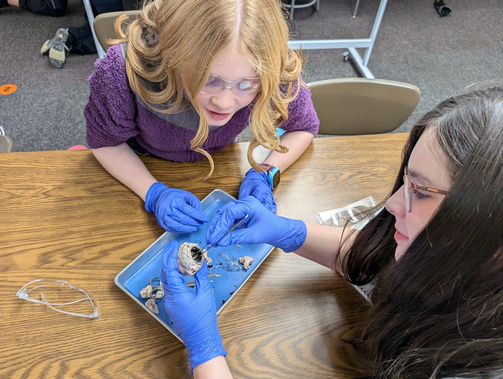 students working on science