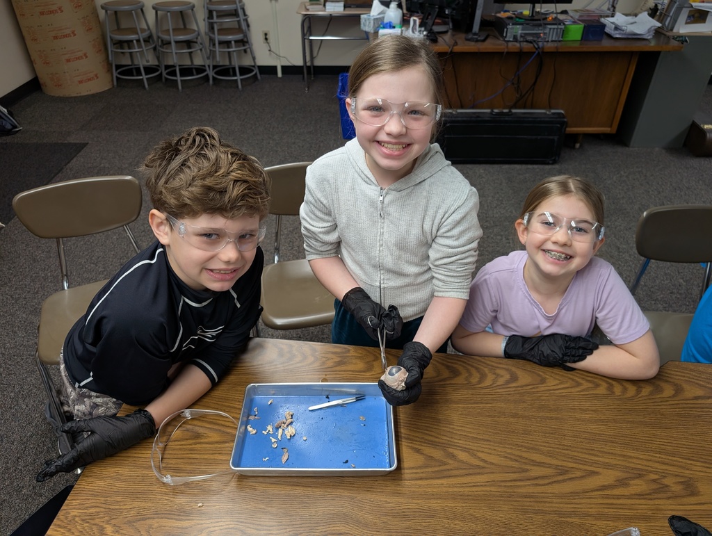 students working on science