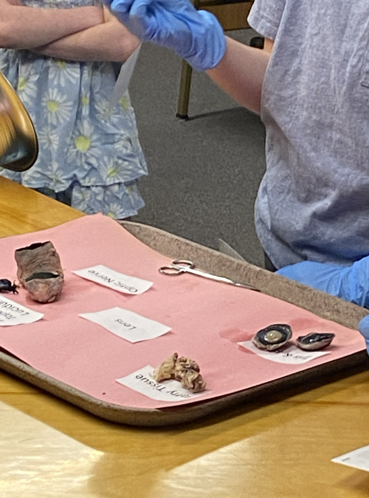 STEM students presenting to the school board