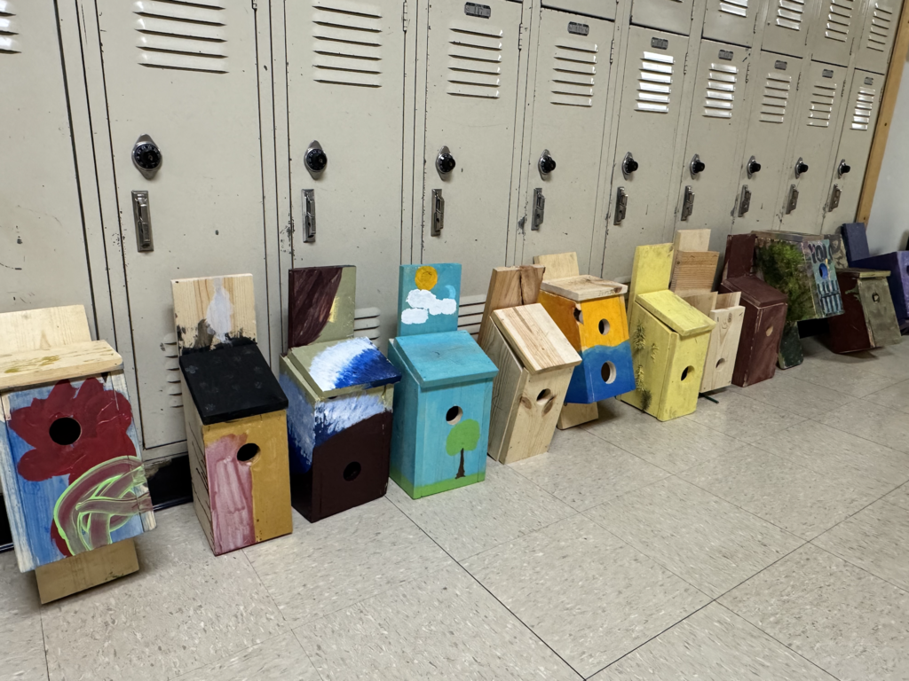 birdhouses that students built
