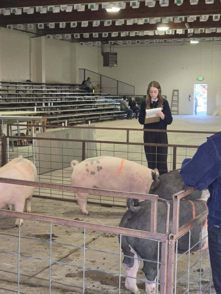 Lewiston FFA students at Livestock Judging Competition