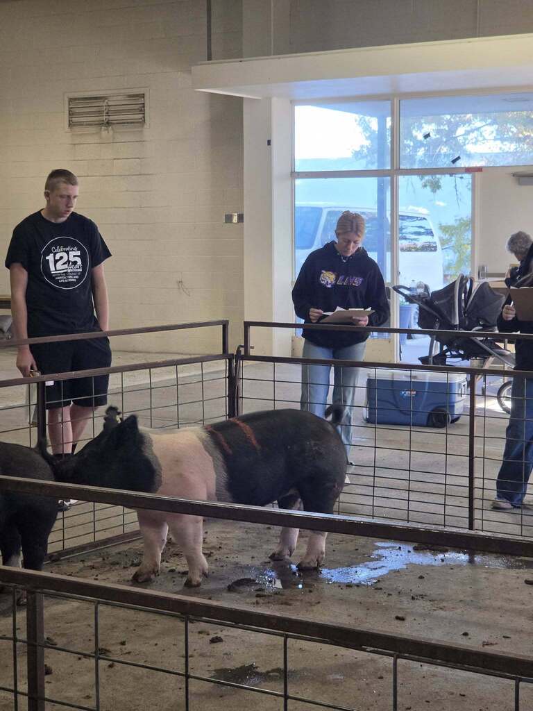 Lewiston FFA students at Livestock Judging Competition