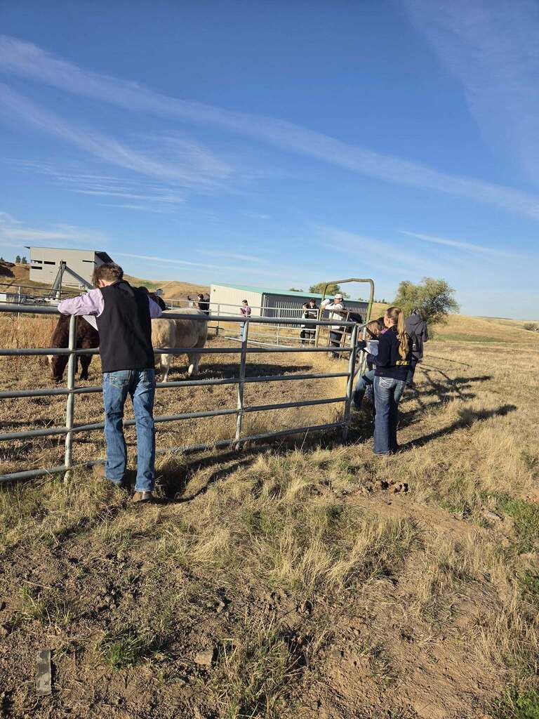 Lewiston FFA students at Livestock Judging Competition