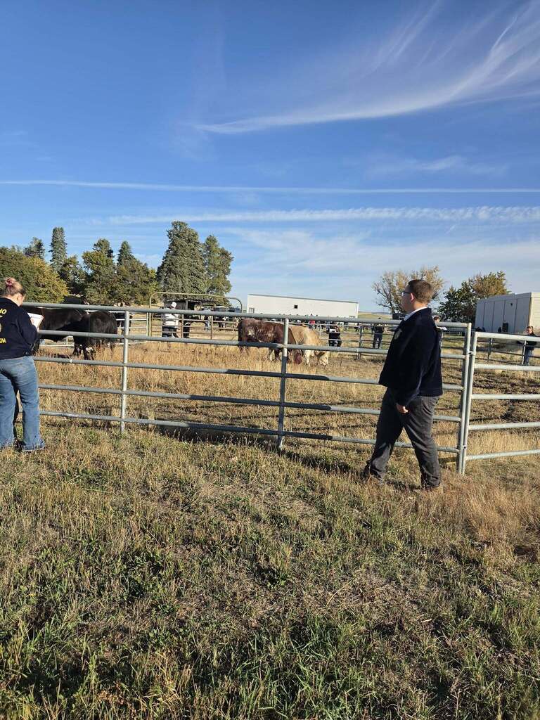 Lewiston FFA students at Livestock Judging Competition
