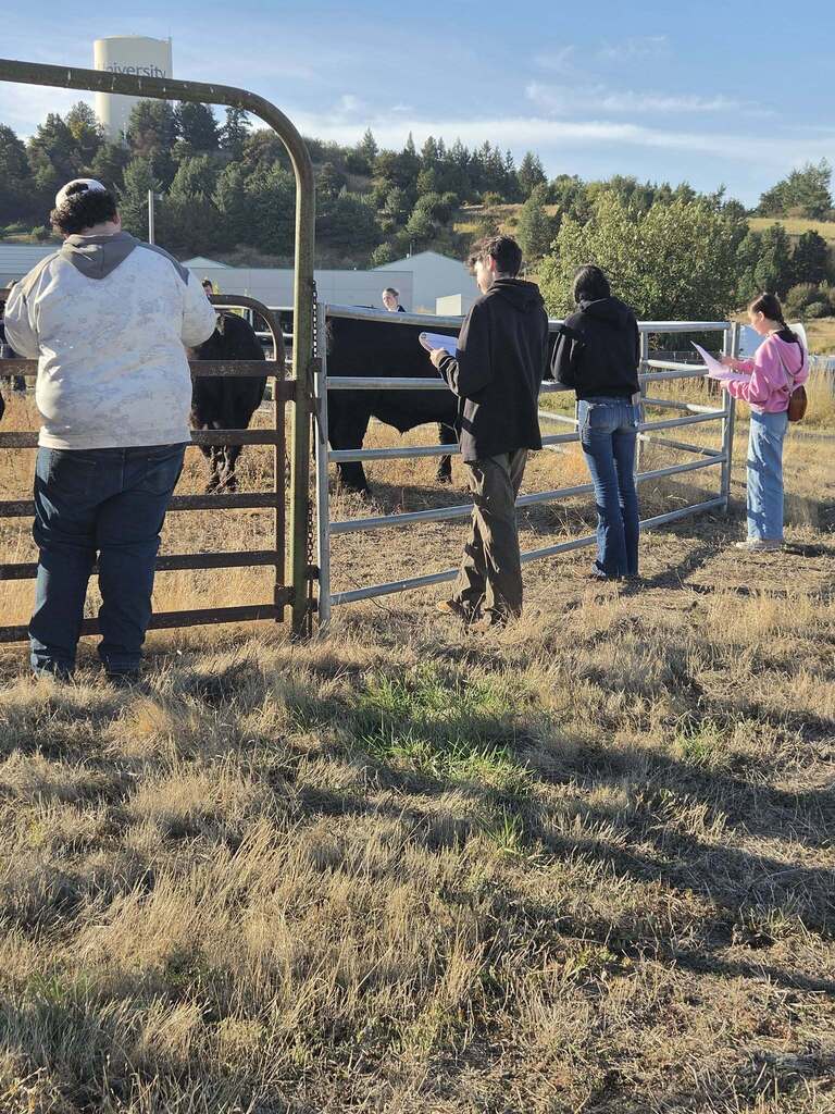 Lewiston FFA students at Livestock Judging Competition