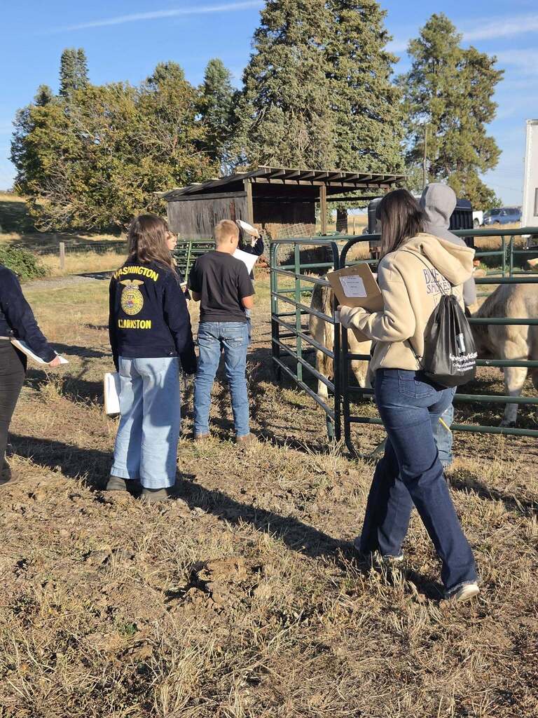 Lewiston FFA students at Livestock Judging Competition