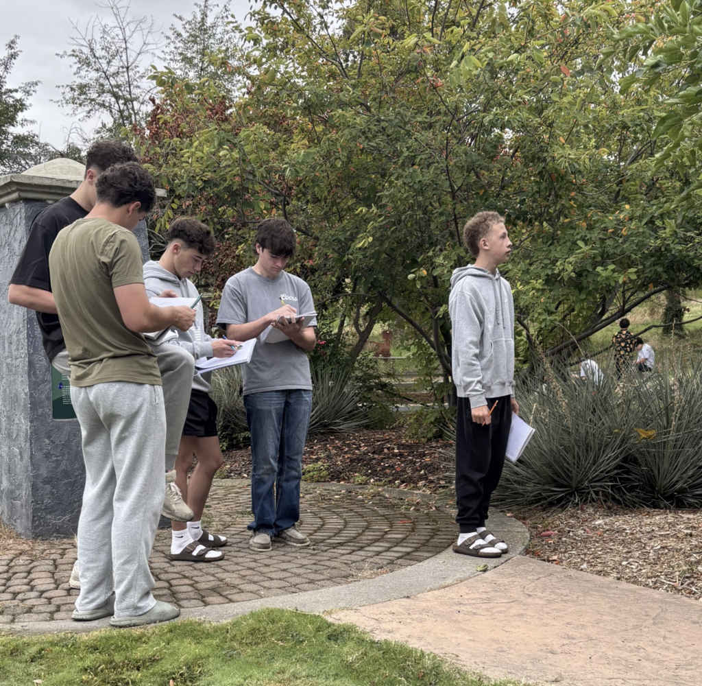 student conducting a plant survey