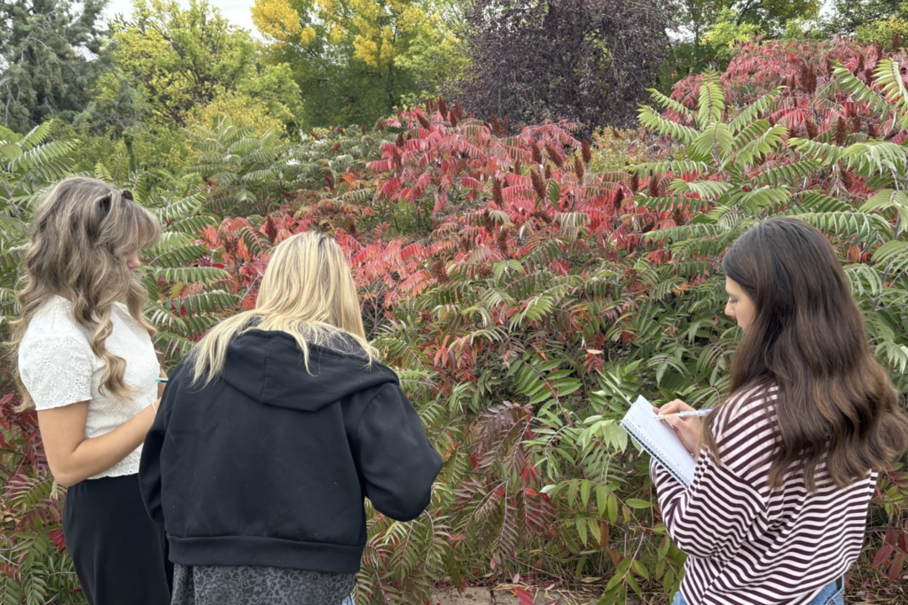 student conducting a plant survey