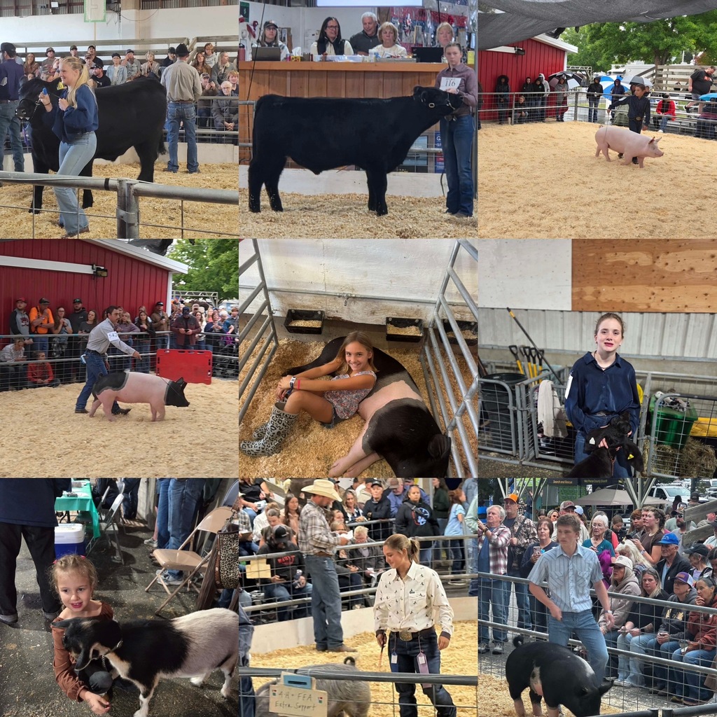 students at the fair