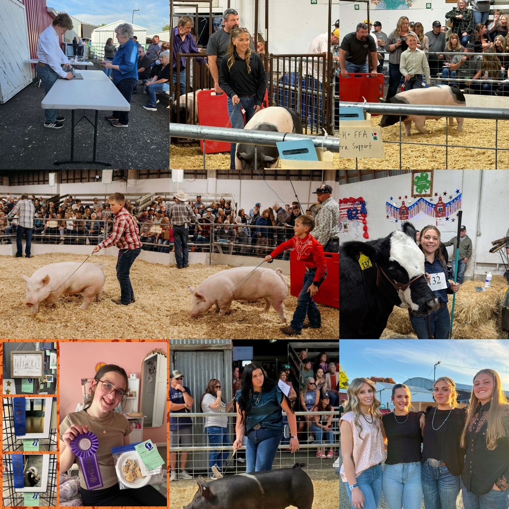 students at the fair