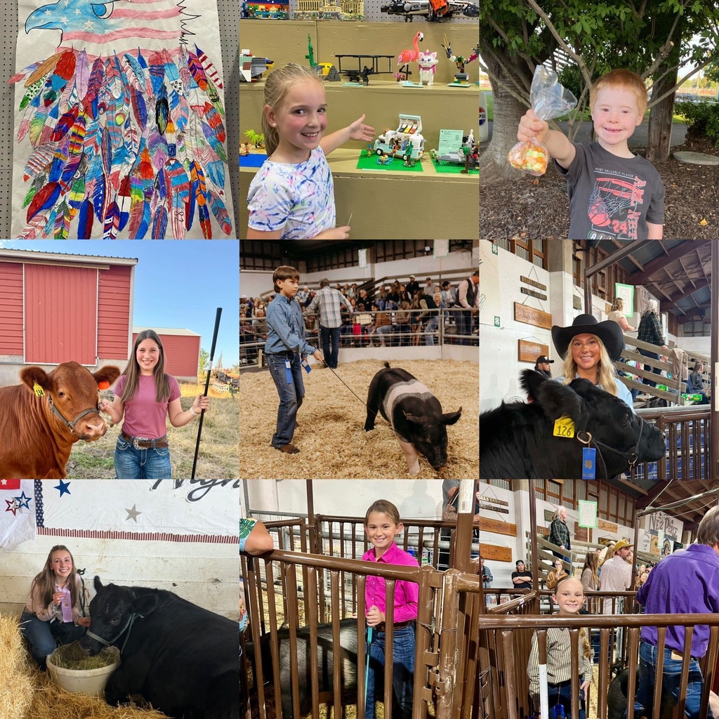 students at the fair