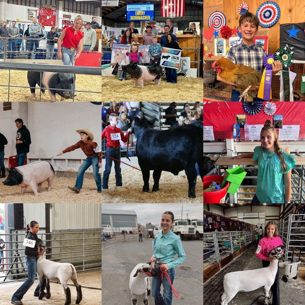 students at the fair