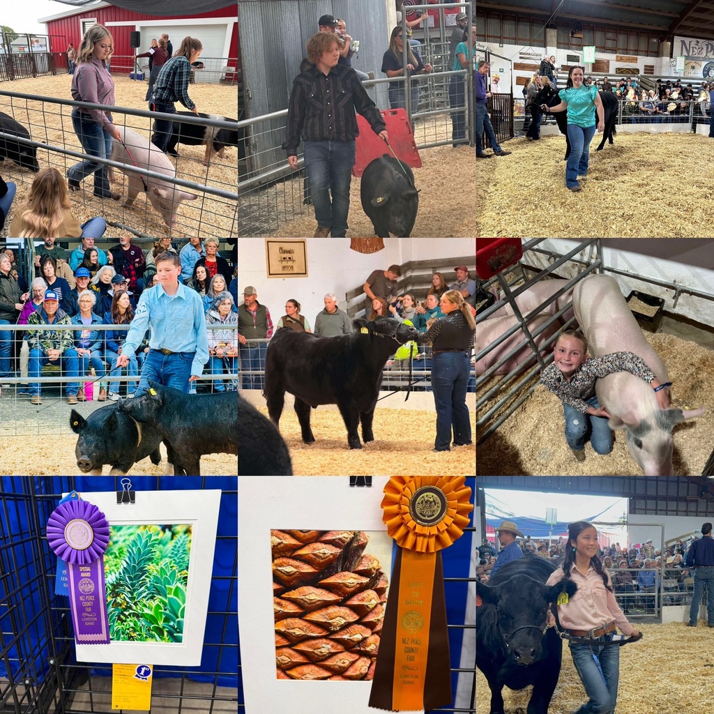 students at the fair