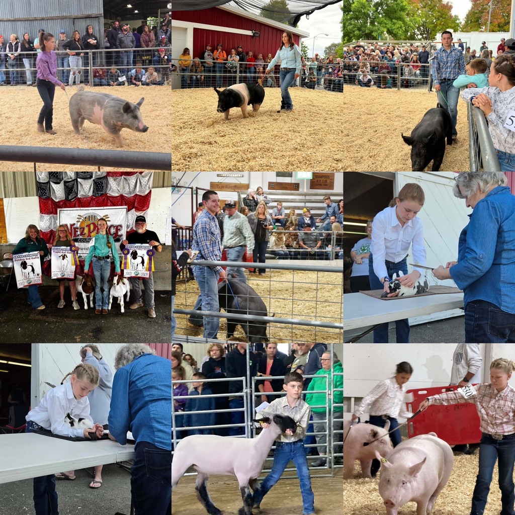 students at the fair