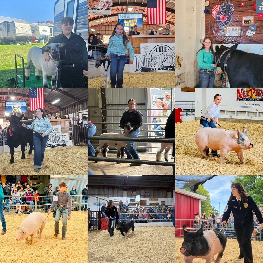 students at the fair