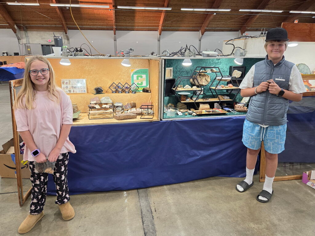 rock and gem show