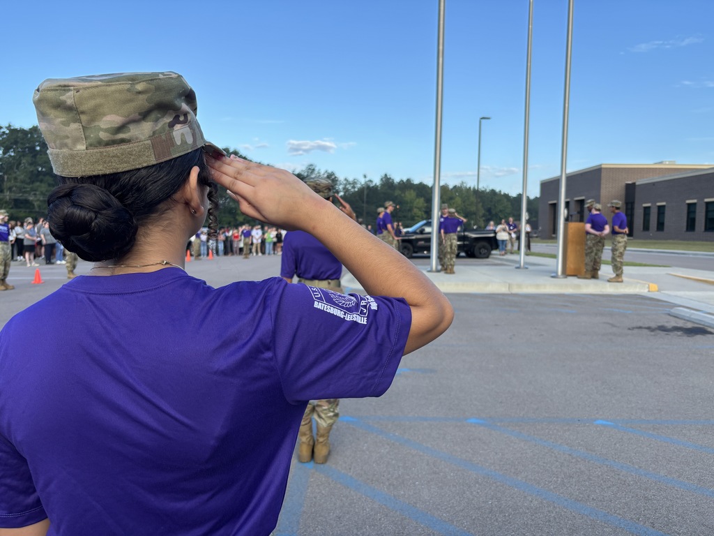 Picture of JROTC cadet saluting flag
