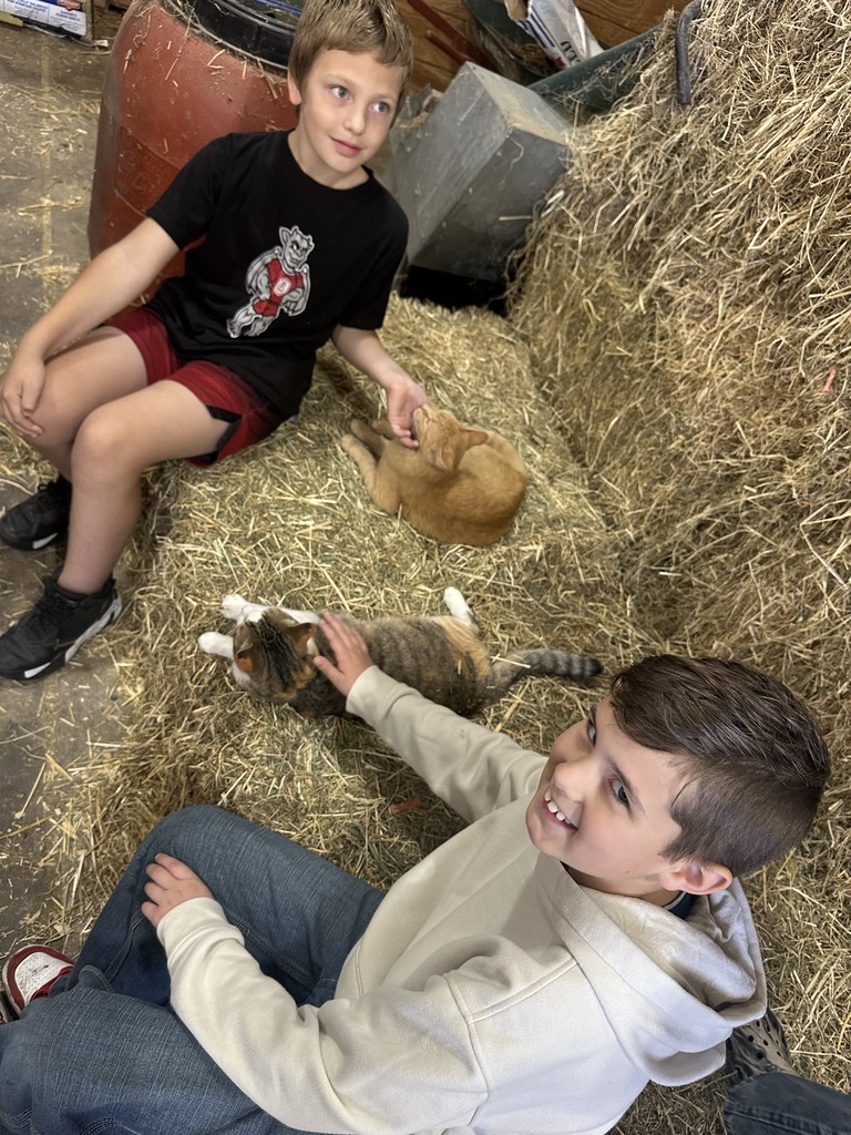 petting animals