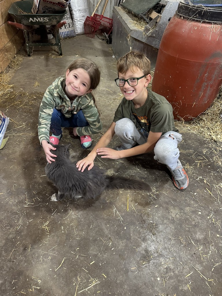 animals