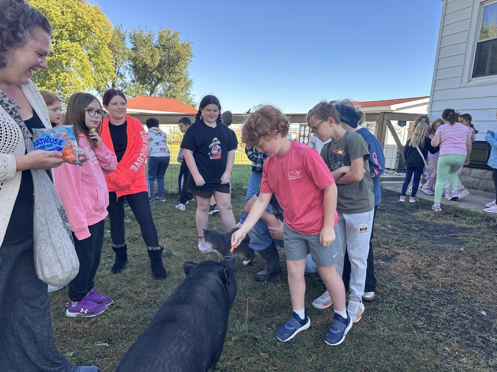 kids feeding pigs