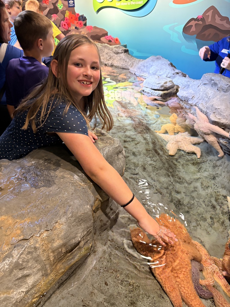 touching animals