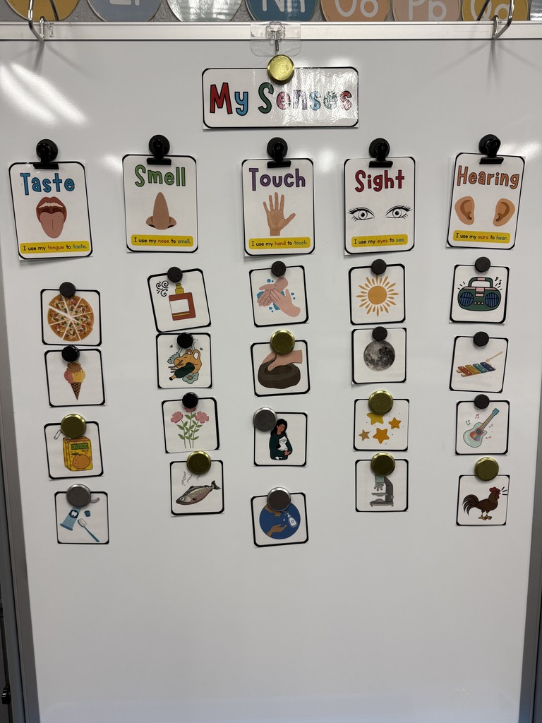 senses chart