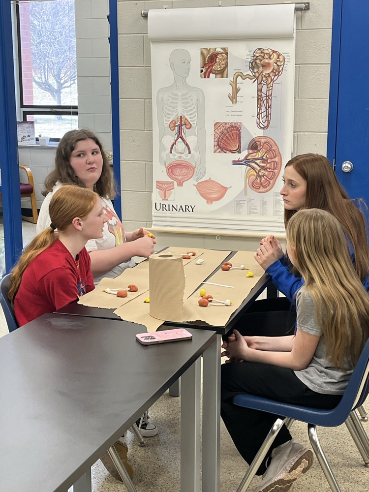 Career Camp and Health Occ