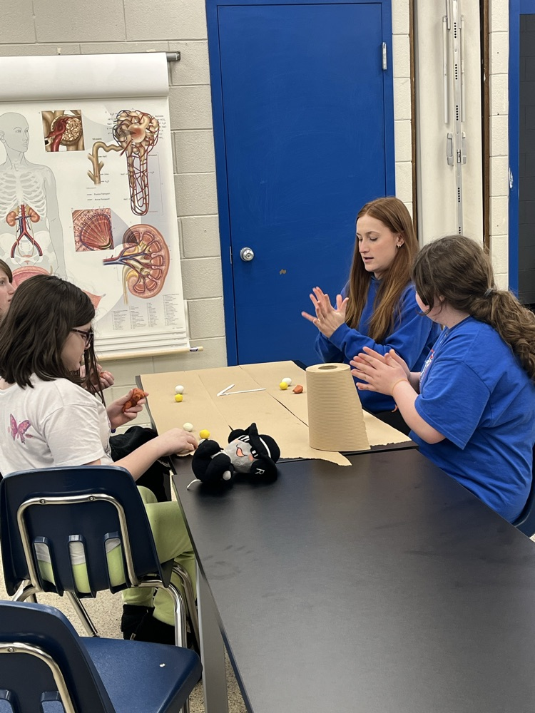 Career Camp and Health Occ