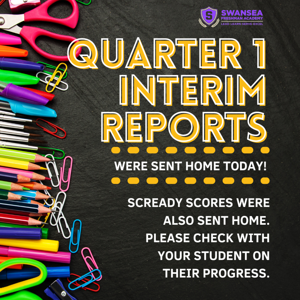 Interim Reports