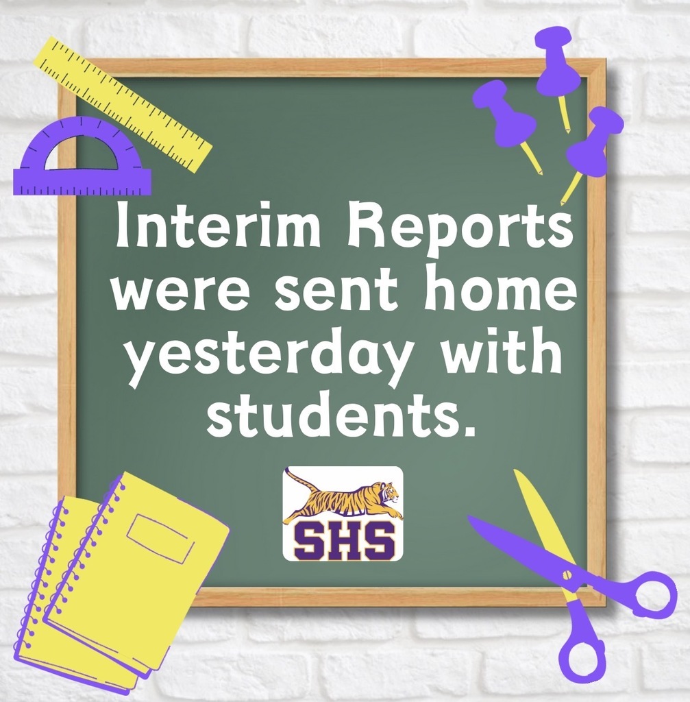 Interim Reports