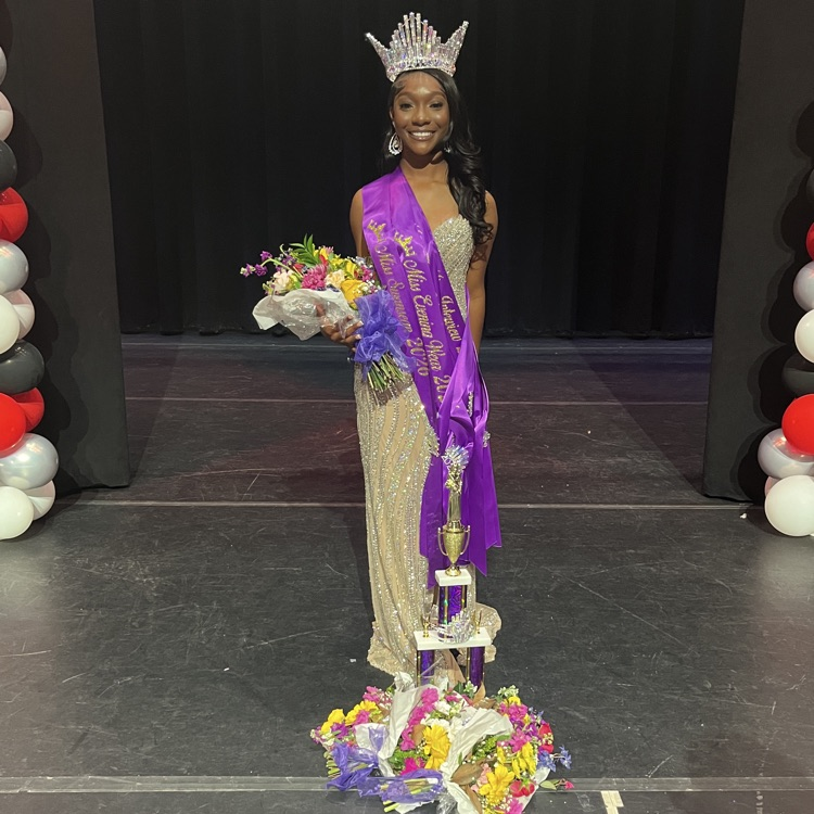 Miss Swansea Pageant