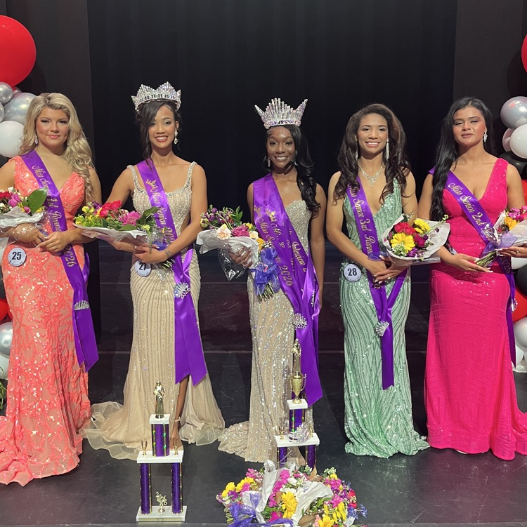 Miss Swansea Pageant