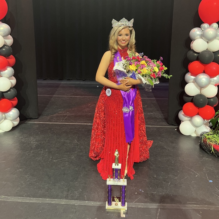 Miss Swansea Pageant