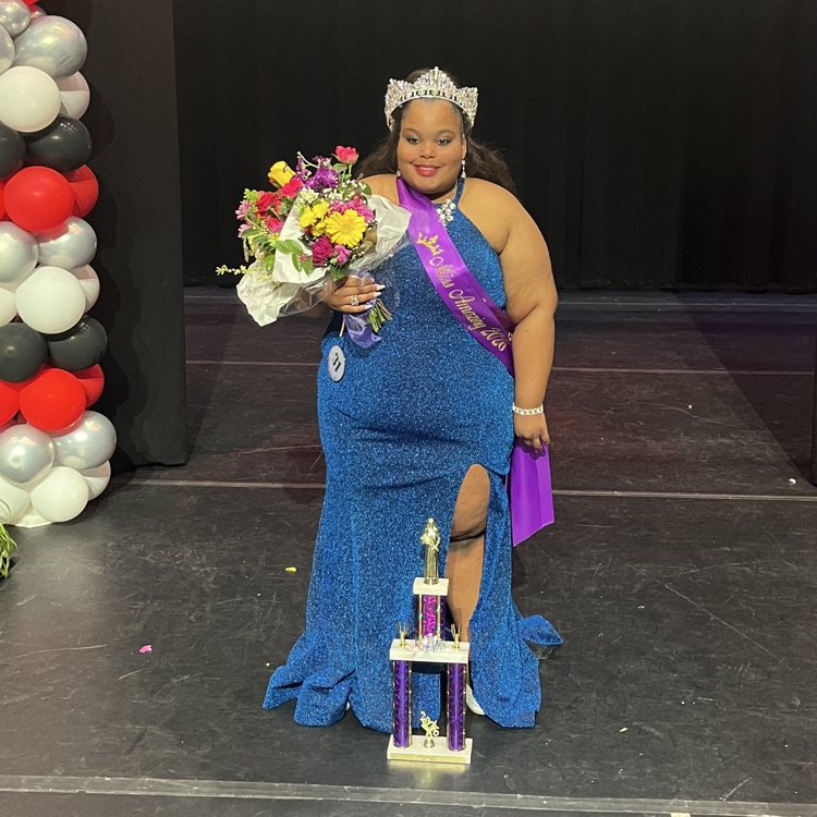 Miss Swansea Pageant