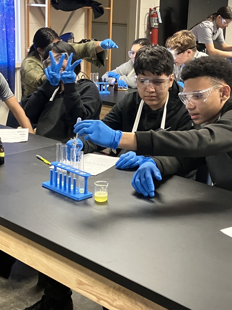 lab