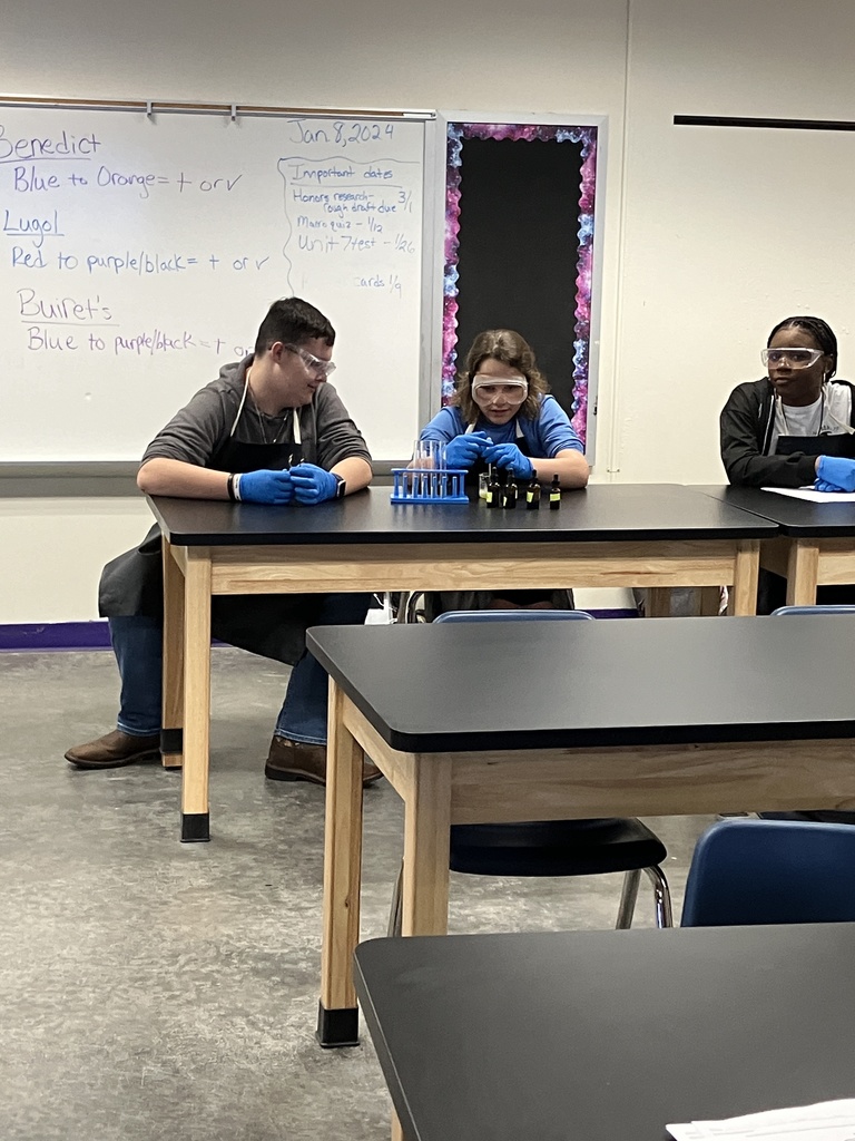 lab