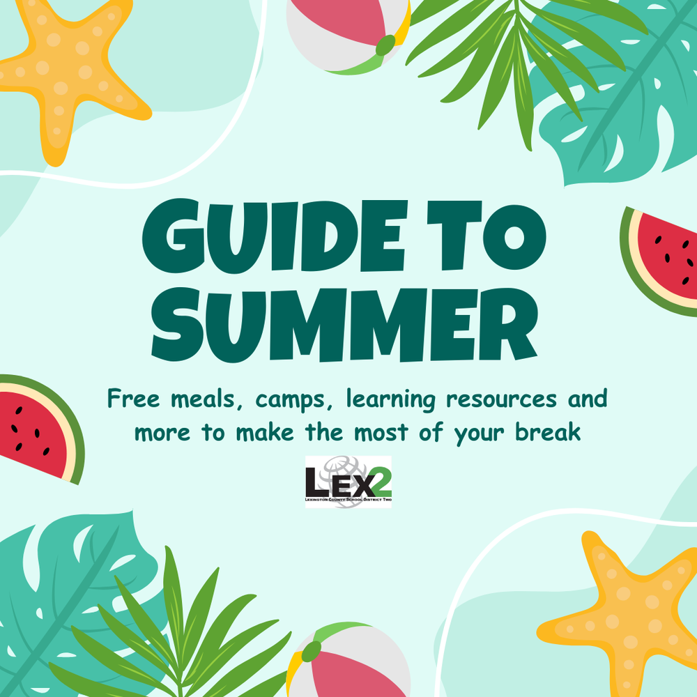 Guide to summer illustration with watermelon, starfish, palm fronds