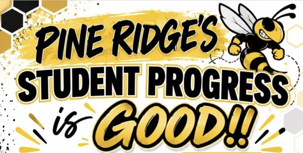 Illustration with Pine Ridge Bee Mascot with words Pine Ridge's Student Progress is Good!!